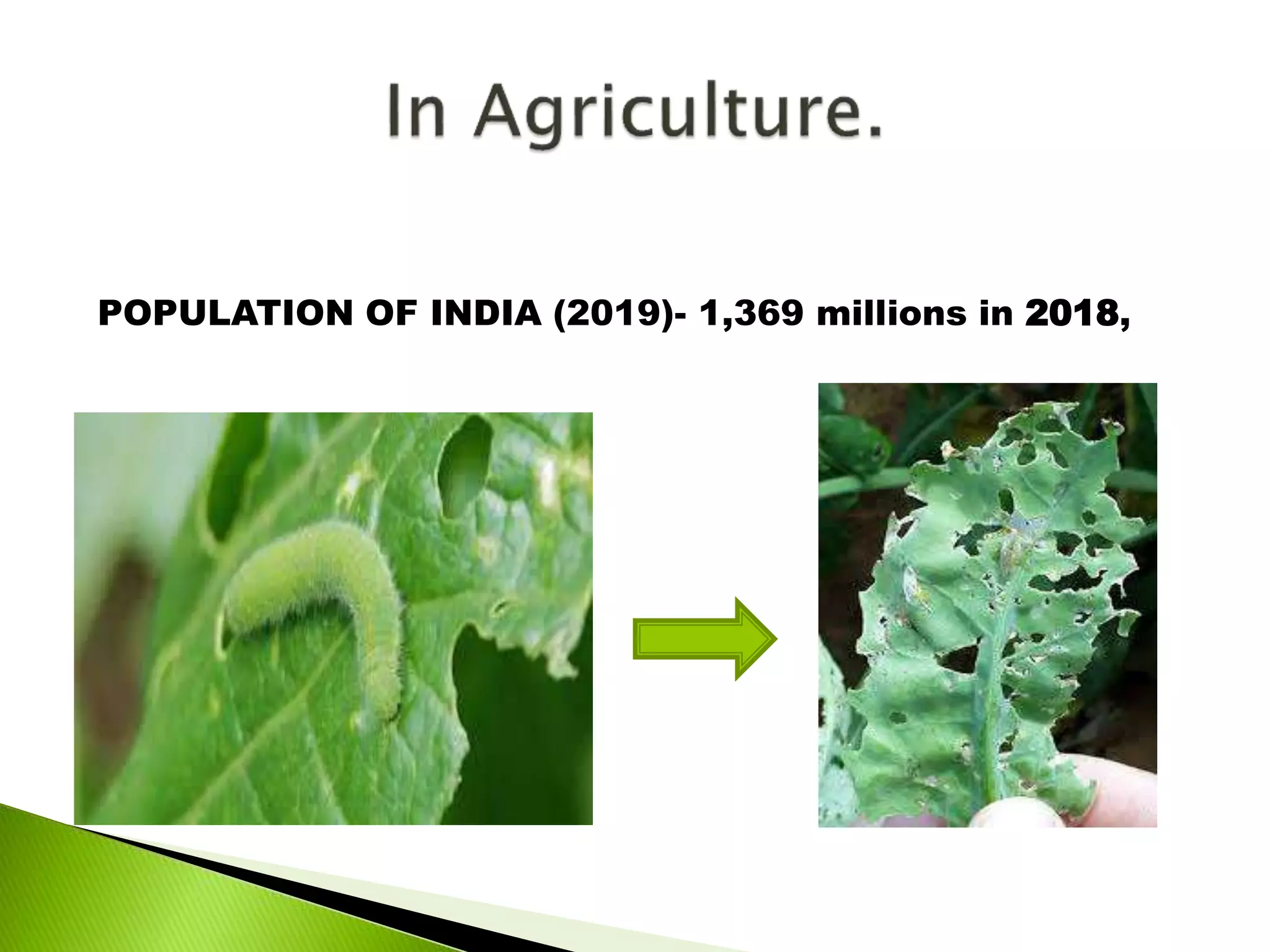 POPULATION OF INDIA (2019)- 1,369 millions in 2018,
 
