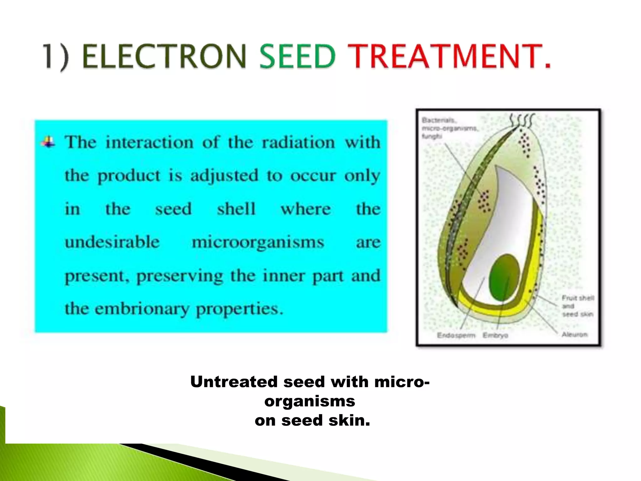 Untreated seed with micro-
organisms on seed skin.
Untreated seed with micro-
organisms
on seed skin.
 