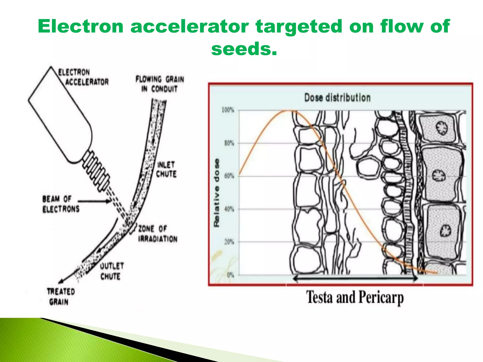 Electron accelerator targeted on flow of
seeds.
 