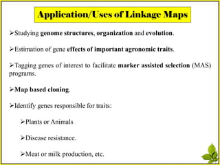Gene Mapping Methods:Linkage Maps & Mapping with Molecular Markers | PDF