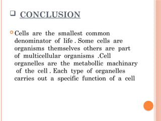 [Roll no . 01] Cell {Biochemistry}[1].pptx