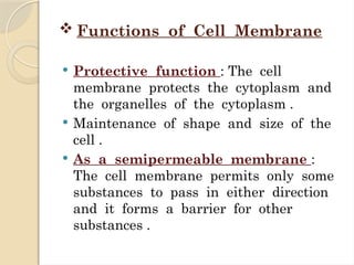 Roll no.- 01 [cell membrame] 2nd Sem.pptx