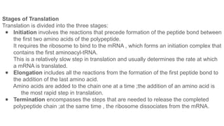 Roll no.43 Muskan Sinha's mechanism of eukaryotic translation .pptx
