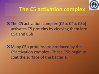 COMPLEMENT SYSTEM[immunology] | PPTX