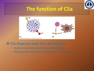 COMPLEMENT SYSTEM[immunology] | PPTX