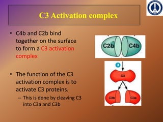 COMPLEMENT SYSTEM[immunology] | PPTX