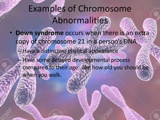 Examples of Chromosome
Abnormalities
• Down syndrome occurs when there is an extra
copy of chromosome 21 in a person’s DNA
– Have a distinctive physical appearance
– Have some delayed developmental process
compared to their age…like how old you should be
when you walk.
 