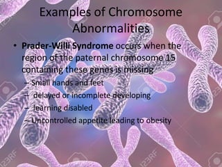 Examples of Chromosome
Abnormalities
• Prader-Willi Syndrome occurs when the
region of the paternal chromosome 15
containing these genes is missing
– Small hands and feet
– delayed or incomplete developing
– learning disabled
– Uncontrolled appetite leading to obesity
 