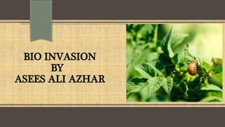 BIOINVASION INVASIVE SPECIES, NATIVE SPECIES, EXOTIC SPECIES | PPTX