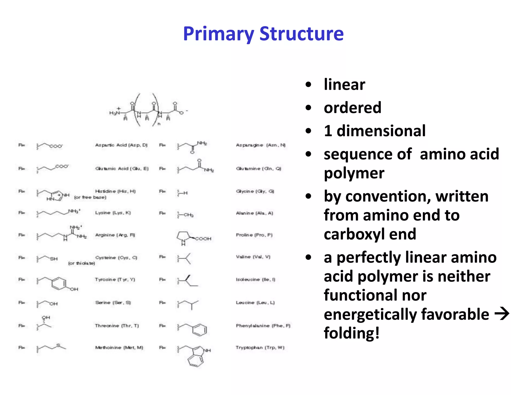 STRUCTURE OF PROTEIN AND ESSENTIAL & NON-ESSENTIAL AMINO ACIDS. | PPTX