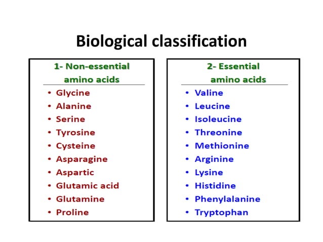 STRUCTURE OF PROTEIN AND ESSENTIAL & NON-ESSENTIAL AMINO ACIDS. | PPTX