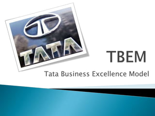 TBEM  Tata Business Excellence Model 