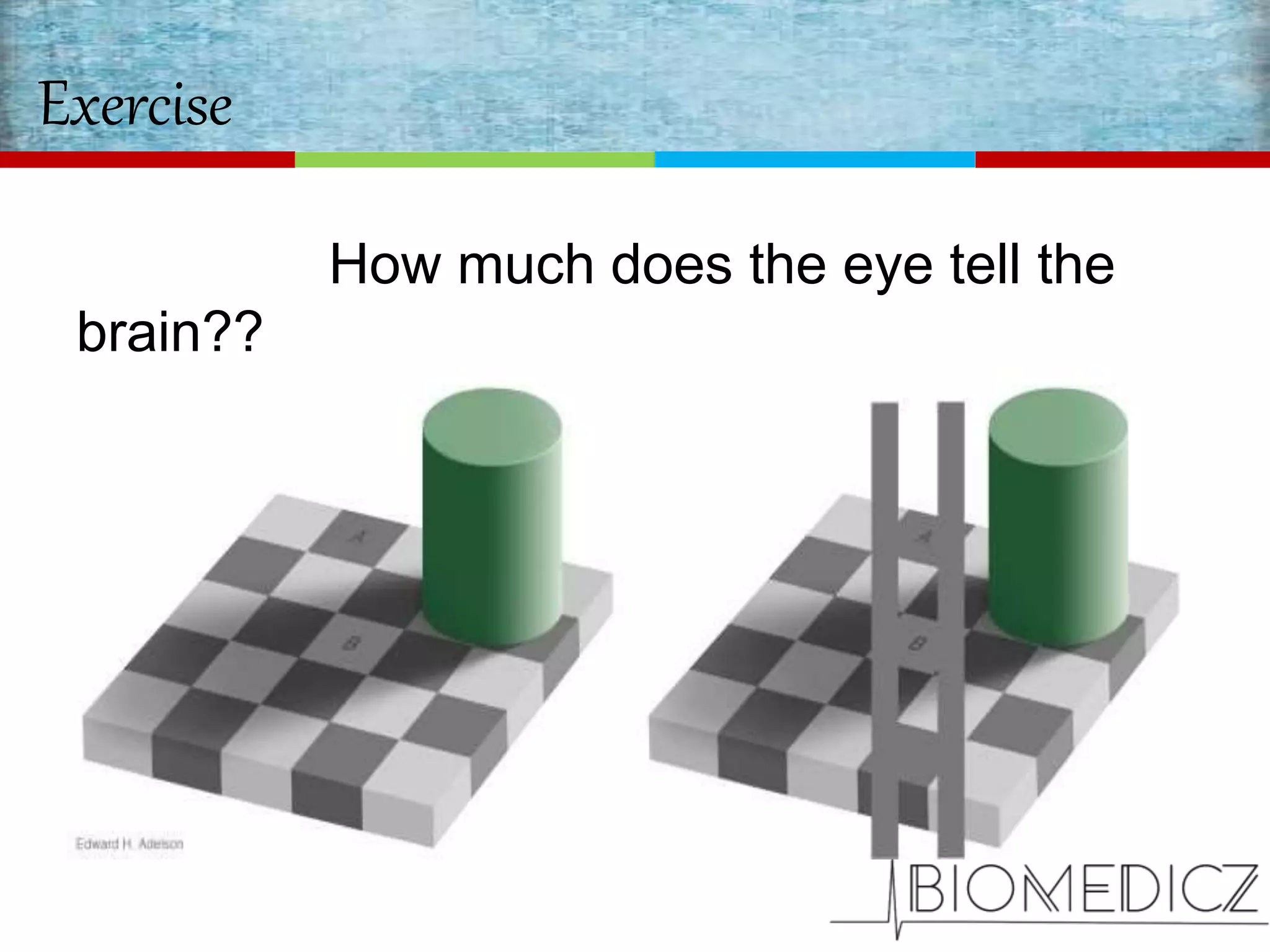 Exercise
How much does the eye tell the
brain??
Well, actually both A and B are of the
same color.
 