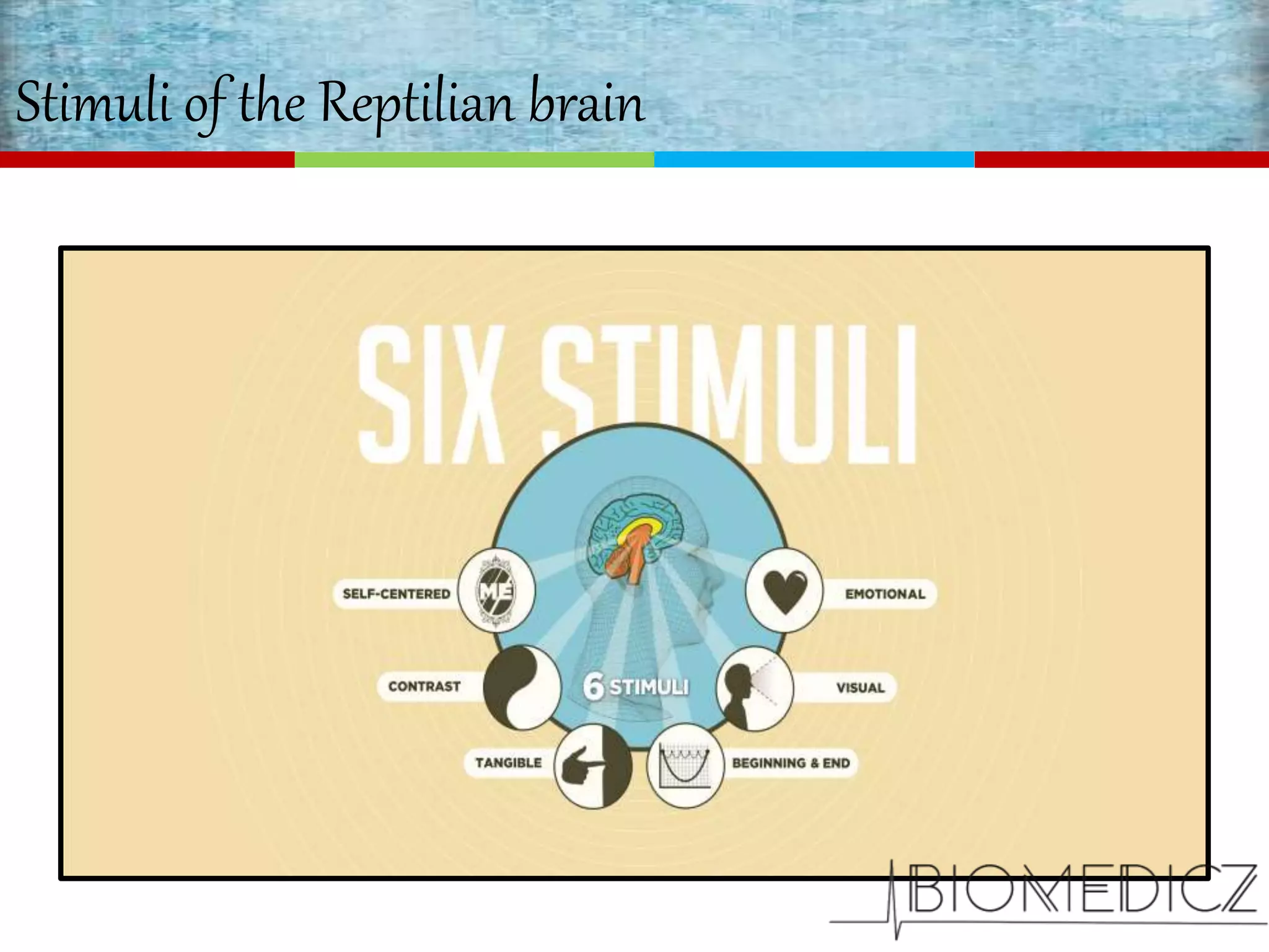 Stimuli of the Reptilian brain
 