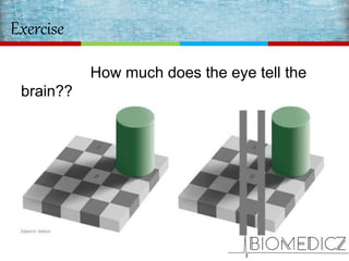 Exercise
How much does the eye tell the
brain??
Well, actually both A and B are of the
same color.
 