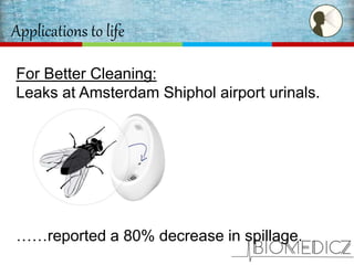 Applications to life
For Better Cleaning:
Leaks at Amsterdam Shiphol airport urinals.
……reported a 80% decrease in spillage.
 
