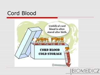 Cord Blood
 