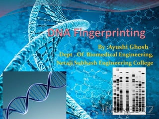 By :Ayushi Ghosh
Dept . Of Biomedical Engineering,
Netaji Subhash Engineering College
 