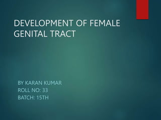 DEVELOPMENT OF FEMALE
GENITAL TRACT
BY KARAN KUMAR
ROLL NO: 33
BATCH: 15TH
 