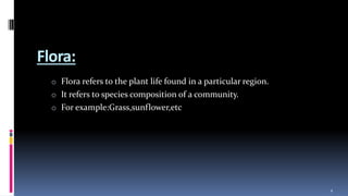 Methods of sampling vegetation.pptx