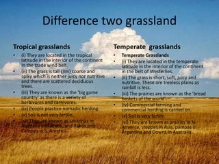 Difference two grassland
Tropical grasslands
• (i) They are located in the tropical
latitude in the interior of the continent
in the trade wind belt.
• (ii) The grass is tall (3m) coarse and
spiky which is neither juicy nor nutritive
and there are scattered deciduous
trees.
• (iii) They are known as the 'big game
country' as there is a variety of
herbivores and carnivores.
• (iv) People practice nomadic herding.
• (v) Soil is not very fertile.
• (vi) They are known as savannas in
Australia and Africa, and llanos and
Campos in S. America
Temperate grasslands
• Temperate Grasslands
• (i) They are located in the temperate
latitude in the interior of the continent
in the belt of Westerlies.
• (ii) The grass is short, soft, juicy and
nutritive. These are treeless plains as
rainfall is less.
• (iii) The prairies are known as the 'bread
baskets of the world'.
• (iv) Commercial farming and
commercial herding is carried on.
• (v) Soil is very fertile.
• (vi) They are known as prairies in N.
America, steppes in Asia, pampas in
Argentina and Downs in Australia.
 
