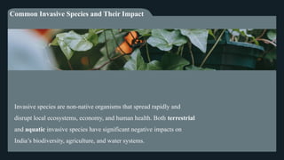 Effects of Invasive Plants Species on Local Ecosystem | PPTX