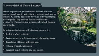 Effects of Invasive Plants Species on Local Ecosystem | PPTX