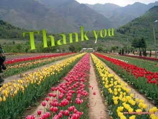 Height measurement   of tree.. forest mensration