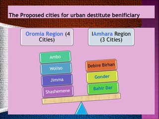 Oromia Region (4
Cities)
IAmhara Region
(3 Cities)
 