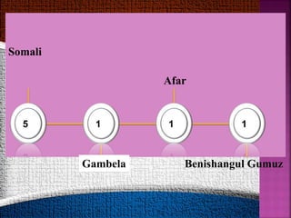 Somali
1 1 1
5
Gambela
Afar
Benishangul Gumuz
 
