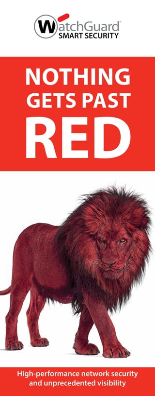 NOTHING
RED
GETS PAST
High-performance network security
and unprecedented visibility
 