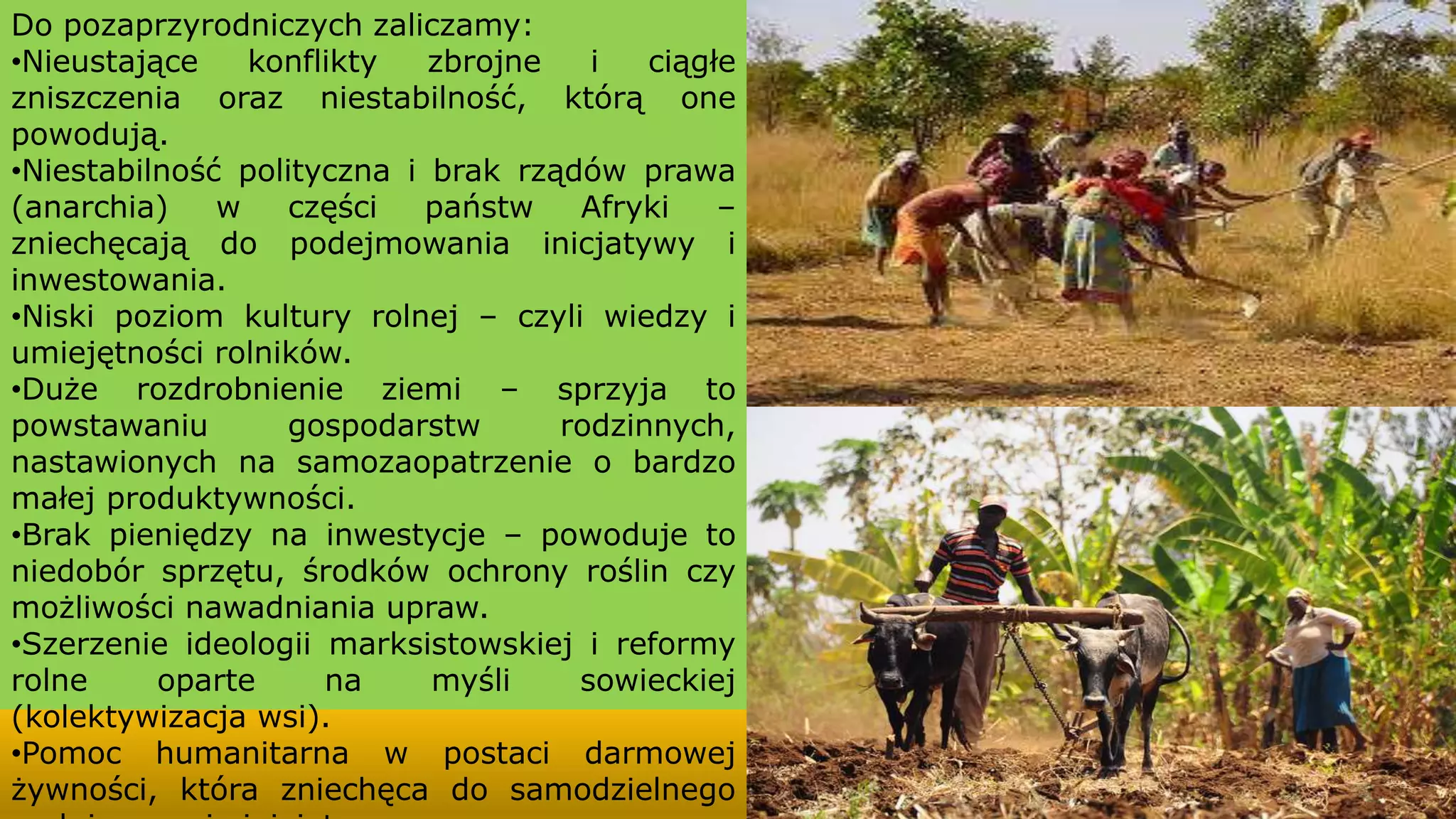 Rolnictwo afryki | PPTX