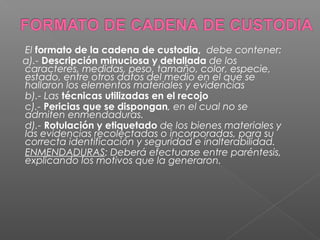 El formato de la cadena de custodia, debe contener: 
a).- Descripción minuciosa y detallada de los 
caracteres, medidas, peso, tamaño, color, especie, 
estado, entre otros datos del medio en el que se 
hallaron los elementos materiales y evidencias 
b).- Las técnicas utilizadas en el recojo 
c).- Pericias que se dispongan, en el cual no se 
admiten enmendaduras. 
d).- Rotulación y etiquetado de los bienes materiales y 
las evidencias recolectadas o incorporadas, para su 
correcta identificación y seguridad e inalterabilidad. 
ENMENDADURAS: Deberá efectuarse entre paréntesis, 
explicando los motivos que la generaron. 
 