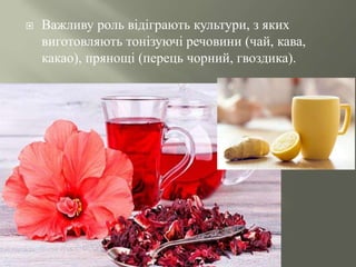  Важливу роль відіграють культури, з яких
виготовляють тонізуючі речовини (чай, кава,
какао), прянощі (перець чорний, гвоздика).
 