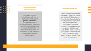 Efectul poluării asupra
animalelor sălbatice
Subtierea stratului de ozon
La fel ca și oamenii,
animalele se confrunta cu
efectele devastatoare ale
poluării atmosferei.
Substanțele chimice
prezente în aer pot determina
speciile sălbatice de animale
să-și schimbe habitatul, pot
cauza imbolnaviri in randul
animalelor si chiar determina
moartea lor în anumite
circumstanțe.
Ozonul exista în stratosfera și
protejează planetă de razele
ultraviolete (UV) dăunătoare.
Prezența cloroﬂuorocarburilor
si hidrocloroﬂuorocarburilor
in atmosfera cauzeaza o
subtiere accentuata a
stratului. Pe masura ce stratul
de ozon se subtiaza apar
dezechilibre majore în urma
pătrunderii unei cantități de
raze UV, cu efecte grave
asupra sanatatii umane, chiar
si pe termen scurt.
 