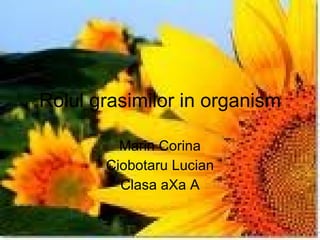 Rolul grasimilor in organism Marin Corina Ciobotaru Lucian Clasa aXa A 