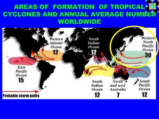 AREAS OF  FORMATION  OF TROPICAL CYCLONES AND ANNUAL AVERAGE NUMBER WORLDWIDE AN AVERAGE OF 100 TROPICAL CYCLONES OCCUR ANNUALLY WORLDWIDE;  30 OF WHICH FORM IN THE WESTERN NORTH  PACIFIC AREA 