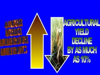 A 1 DEGREE INCREASE IN TEMPERATURE IN THE TROPICS AGRICULTURAL  YIELD DECLINE BY AS MUCH AS 10% 