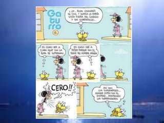 Participación social 