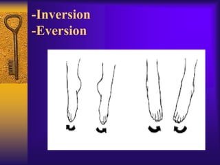 Range of motion exercises | PPTX