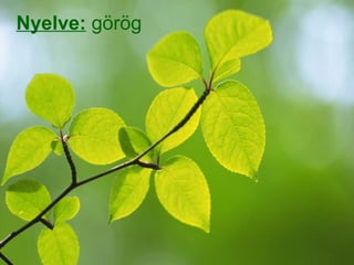 Nyelve:  görög 