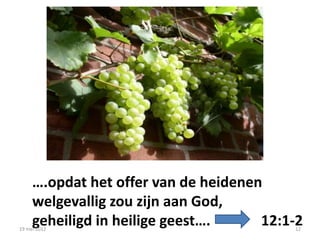 ….opdat het offer van de heidenen
     welgevallig zou zijn aan God,
     geheiligd in heilige geest….
19 mei 2012
                                      12:1-2
                                          12
 