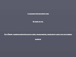La columna toscana tiene basa Su fuste es liso. Su diámetro   aumenta hasta producir un ligero abombamiento, decreciendo luego hacia el extremo superior. 