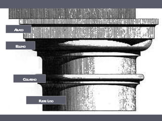 Collarino Abaco Equino Fuste Liso 