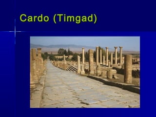 Cardo (Timgad)
 