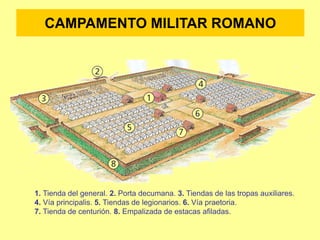 1. Tienda del general. 2. Porta decumana. 3. Tiendas de las tropas auxiliares.
4. Vía principalis. 5. Tiendas de legionarios. 6. Vía praetoria.
7. Tienda de centurión. 8. Empalizada de estacas afiladas.
CAMPAMENTO MILITAR ROMANO
 
