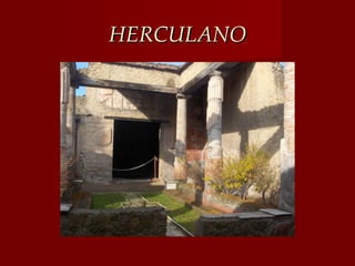 HERCULANO
 