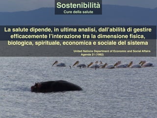 Sostenibilità
Cure della salute
La salute dipende, in ultima analisi, dall’abilità di gestire
efﬁcacemente l’interazione tra la dimensione ﬁsica,
biologica, spirituale, economica e sociale del sistema
United Nations Department of Economic and Social Affairs
Agenda 21 (1992)
 