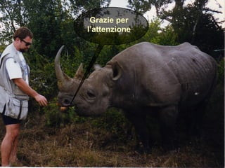 Grazie per
l’attenzione
 