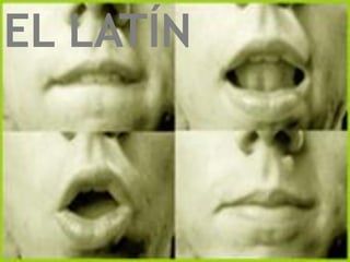 EL LATÍN
 